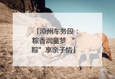 漳州车务段：粽香润童梦 “粽”享亲子情