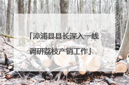 漳浦县县长深入一线调研荔枝产销工作