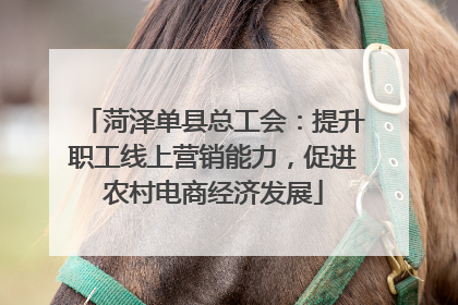菏泽单县总工会：提升职工线上营销能力，促进农村电商经济发展