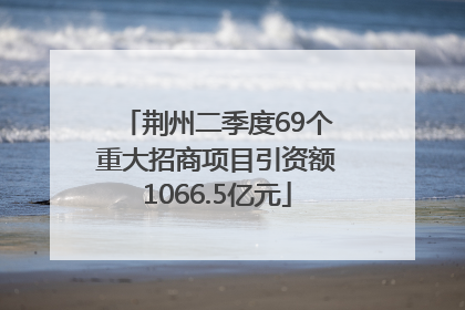 荆州二季度69个重大招商项目引资额1066.5亿元
