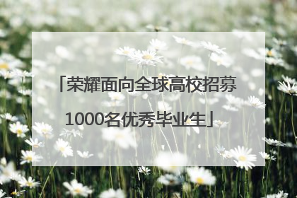 荣耀面向全球高校招募1000名优秀毕业生