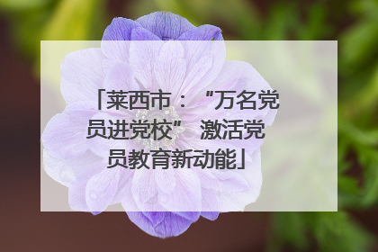 莱西市：“万名党员进党校” 激活党员教育新动能