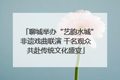 聊城举办“艺韵水城”非遗戏曲联演 千名观众共赴传统文化盛宴
