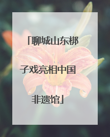 聊城山东梆子戏亮相中国非遗馆