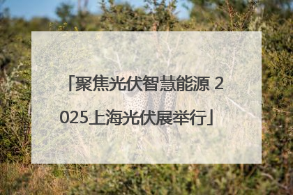 聚焦光伏智慧能源 2025上海光伏展举行