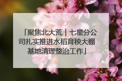 聚焦北大荒｜七星分公司扎实推进水稻育秧大棚基地清理整治工作