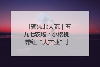 聚焦北大荒｜五九七农场：小樱桃带红“大产业”