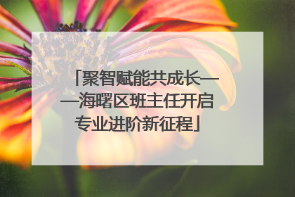 聚智赋能共成长——海曙区班主任开启专业进阶新征程