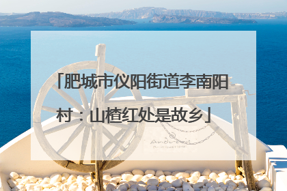 肥城市仪阳街道李南阳村：山楂红处是故乡