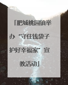 肥城桃园镇举办“守住钱袋子护好幸福家”宣教活动