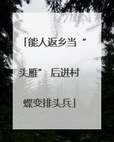 能人返乡当“头雁” 后进村蝶变排头兵