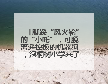 脚踩“风火轮”的“小吒”，可脱离遥控板的机器狗，泡桐树小学来了新朋友！