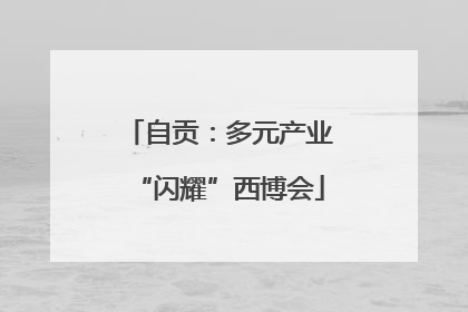自贡：多元产业“闪耀”西博会
