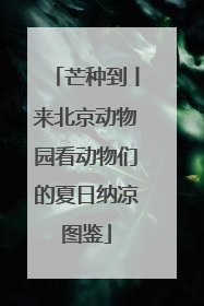 芒种到丨来北京动物园看动物们的夏日纳凉图鉴