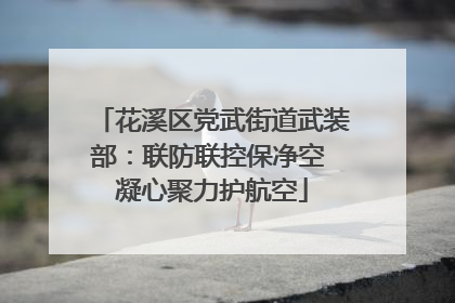 花溪区党武街道武装部：联防联控保净空 凝心聚力护航空