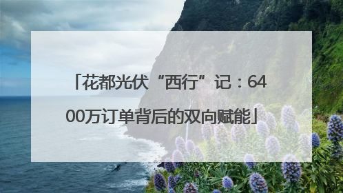 花都光伏“西行”记：6400万订单背后的双向赋能