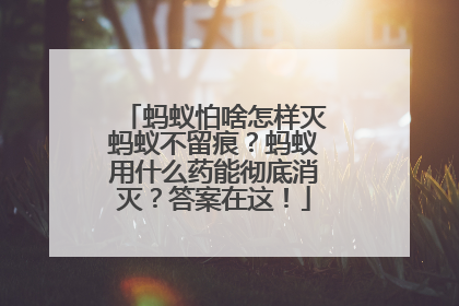 蚂蚁怕啥怎样灭蚂蚁不留痕？蚂蚁用什么药能彻底消灭？答案在这！