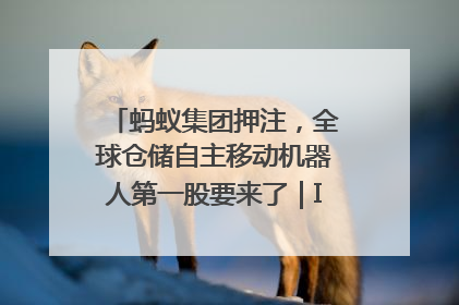 蚂蚁集团押注，全球仓储自主移动机器人第一股要来了｜IPO直通车