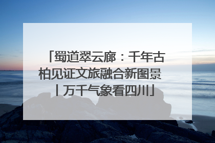 蜀道翠云廊：千年古柏见证文旅融合新图景丨万千气象看四川