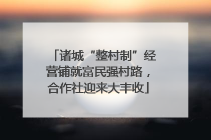 诸城“整村制”经营铺就富民强村路，合作社迎来大丰收