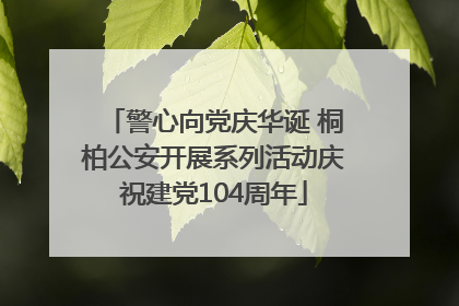 警心向党庆华诞 桐柏公安开展系列活动庆祝建党104周年