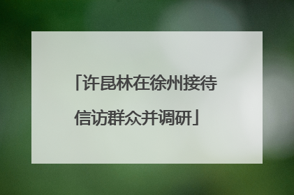 许昆林在徐州接待信访群众并调研