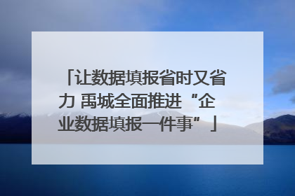 让数据填报省时又省力 禹城全面推进“企业数据填报一件事”