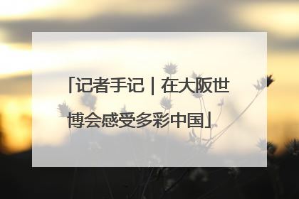 记者手记｜在大阪世博会感受多彩中国