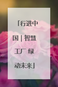 行进中国｜智慧工厂 绿动未来