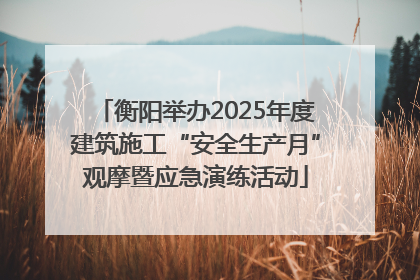 衡阳举办2025年度建筑施工“安全生产月”观摩暨应急演练活动