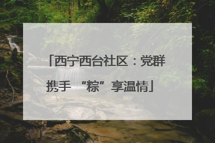 西宁西台社区：党群携手 “粽”享温情