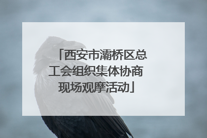 西安市灞桥区总工会组织集体协商现场观摩活动