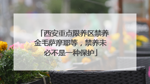 西安重点限养区禁养金毛萨摩耶等，禁养未必不是一种保护