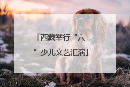 西藏举行“六一”少儿文艺汇演