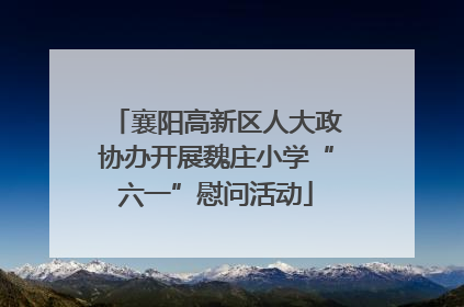 襄阳高新区人大政协办开展魏庄小学“六一”慰问活动