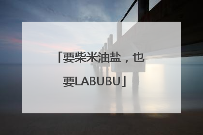 要柴米油盐，也要LABUBU