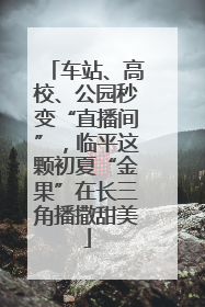 车站、高校、公园秒变“直播间”，临平这颗初夏“金果”在长三角播撒甜美