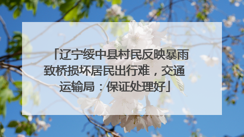 辽宁绥中县村民反映暴雨致桥损坏居民出行难，交通运输局：保证处理好