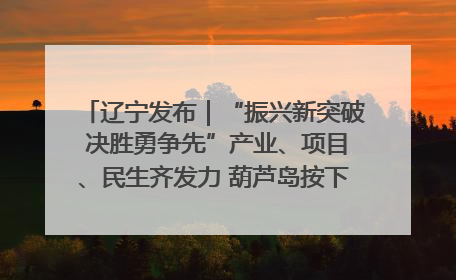 辽宁发布｜“振兴新突破 决胜勇争先”产业、项目、民生齐发力 葫芦岛按下决胜之年“加速键”