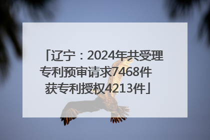 辽宁：2024年共受理专利预审请求7468件 获专利授权4213件