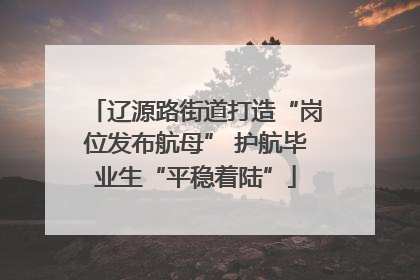 辽源路街道打造“岗位发布航母” 护航毕业生“平稳着陆”