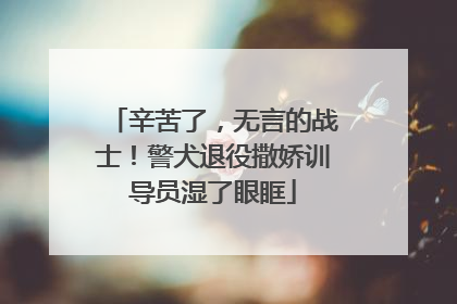 辛苦了，无言的战士！警犬退役撒娇训导员湿了眼眶