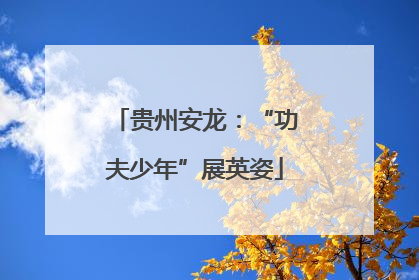 贵州安龙：“功夫少年”展英姿
