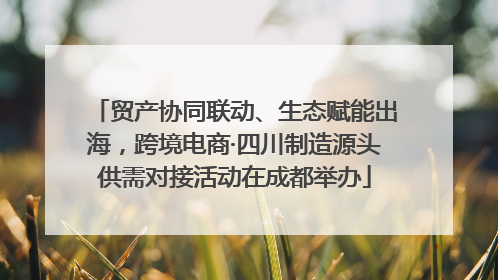 贸产协同联动、生态赋能出海，跨境电商·四川制造源头供需对接活动在成都举办