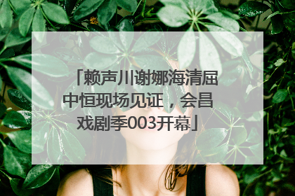 赖声川谢娜海清屈中恒现场见证，会昌戏剧季003开幕