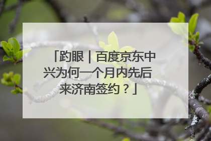 趵眼｜百度京东中兴为何一个月内先后来济南签约？
