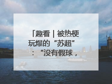 趣看｜被热梗玩爆的“苏超”：“没有假球，全是世仇”