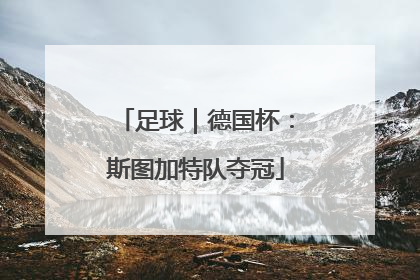 足球｜德国杯：斯图加特队夺冠