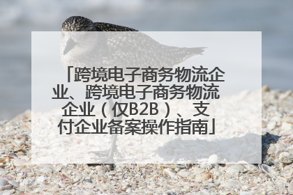 跨境电子商务物流企业、跨境电子商务物流企业（仅B2B）、支付企业备案操作指南