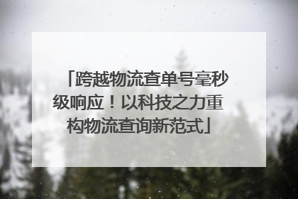 跨越物流查单号毫秒级响应！以科技之力重构物流查询新范式